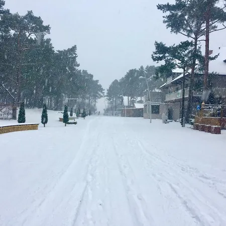 W Kwiatki:) Pogorzelica (Gmina Rewal)